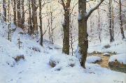 Walter Moras Bachlauf im Winterwald. Spain oil painting artist